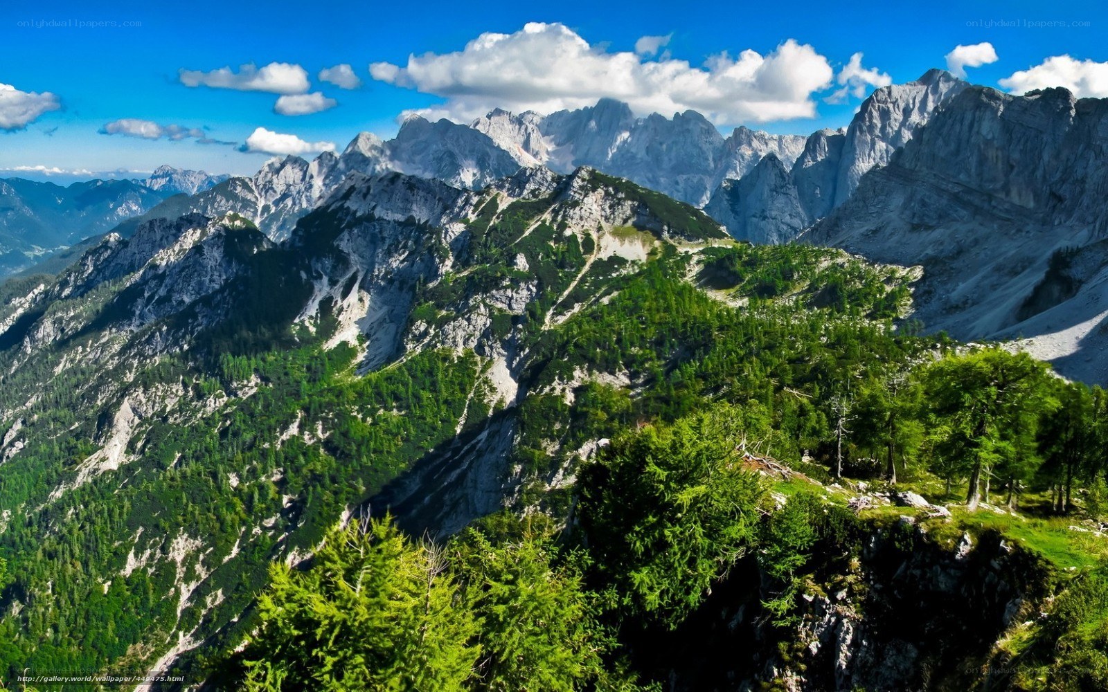 Mountain landscape with green trees