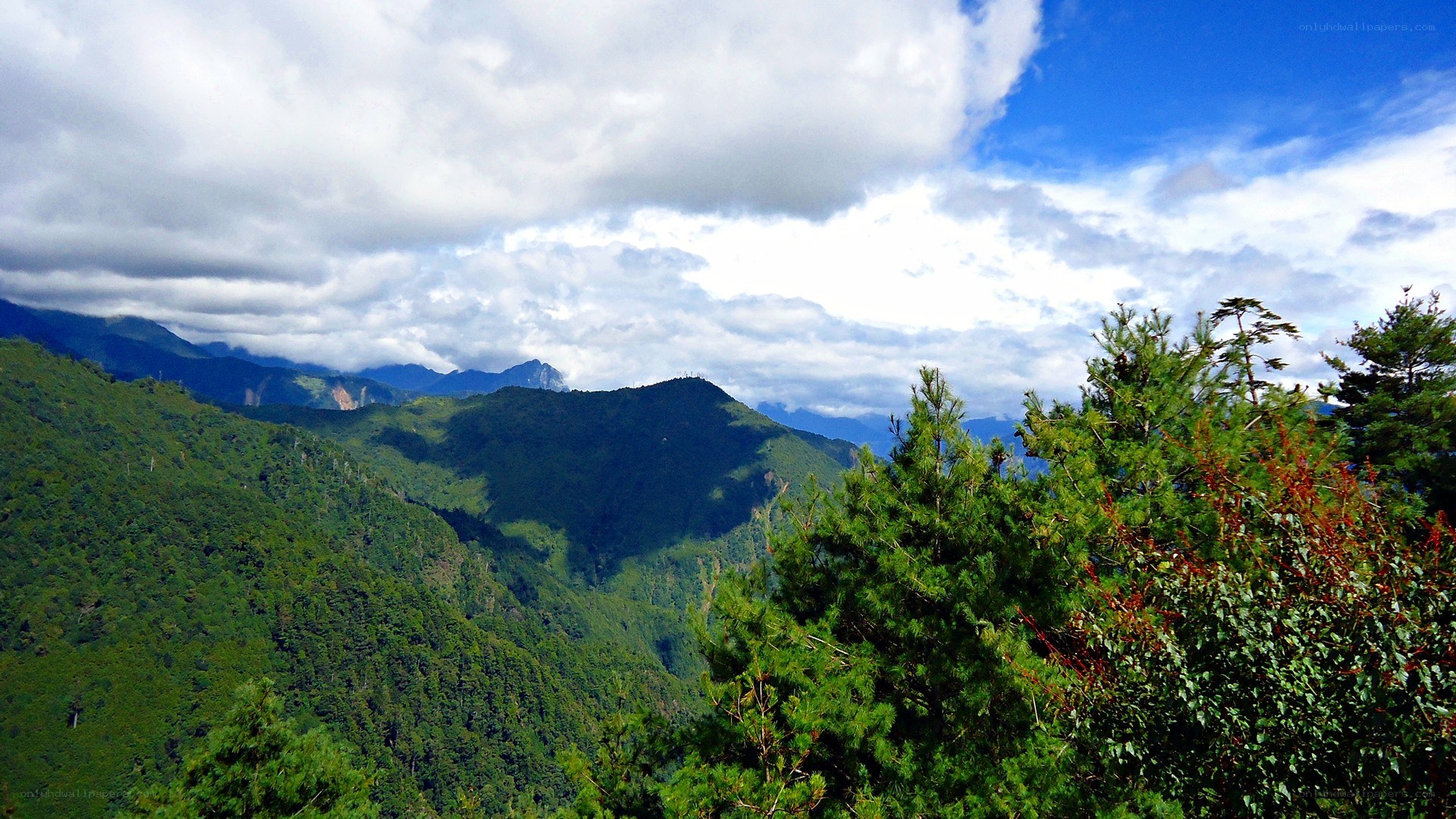Mountain landscape with green trees