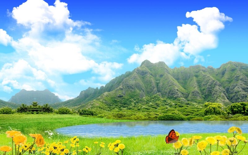Mountain landscape with lake and flowers