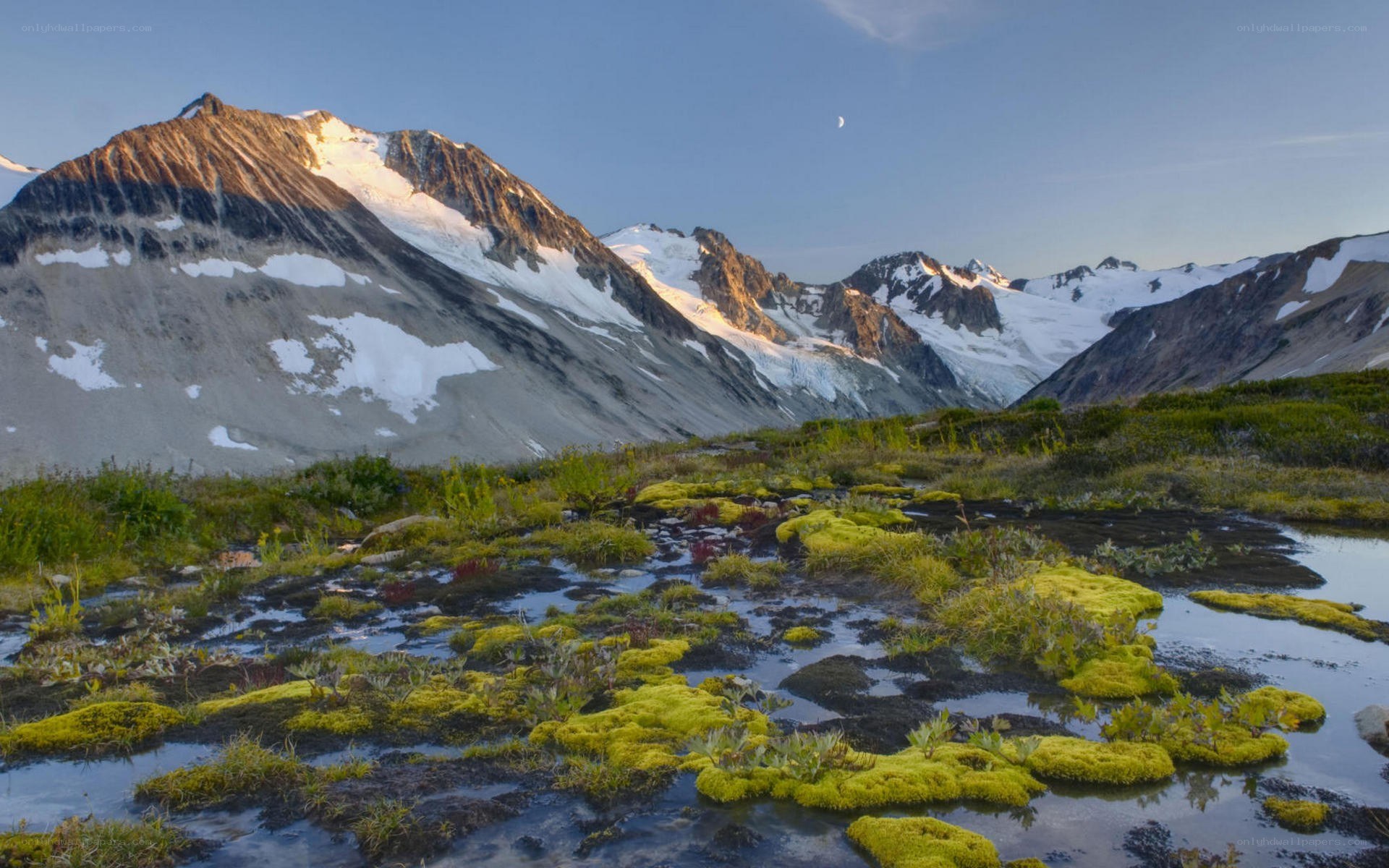 Mountain landscape with mossy wetland