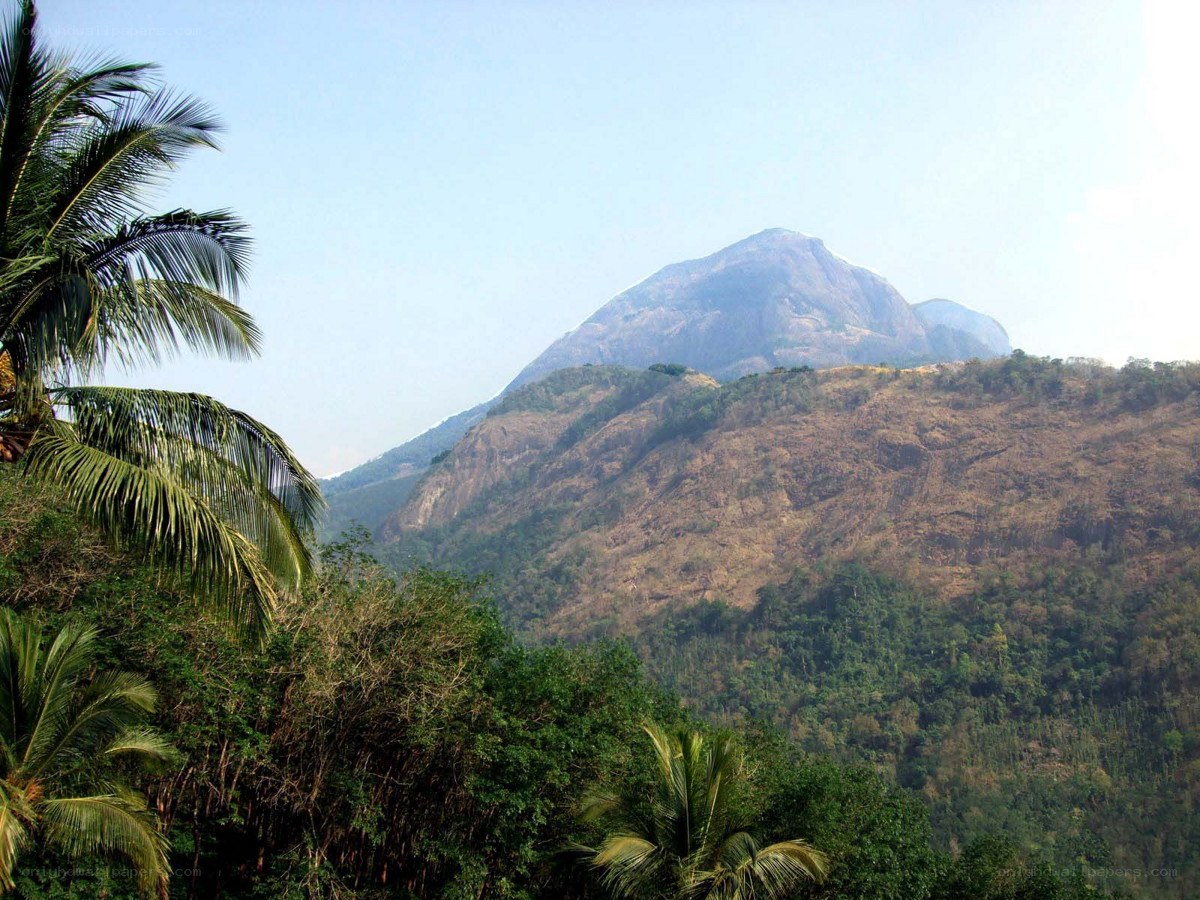 mountain landscape with palm trees