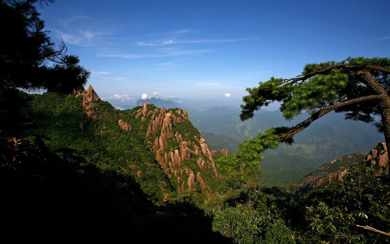 Mountain landscape with pine trees