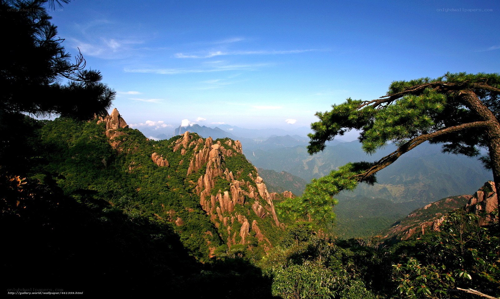 Mountain landscape with pine trees