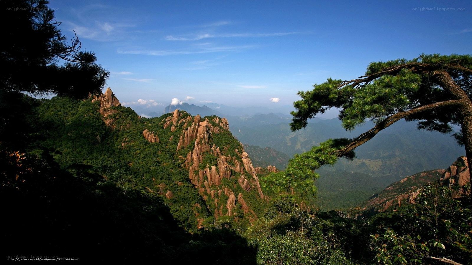 Mountain landscape with pine trees