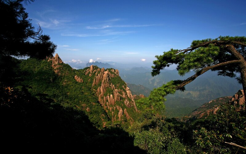 Mountain landscape with pine trees