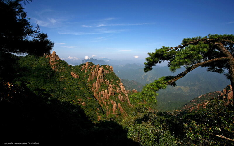 Mountain Landscape with Pine Trees — Blue