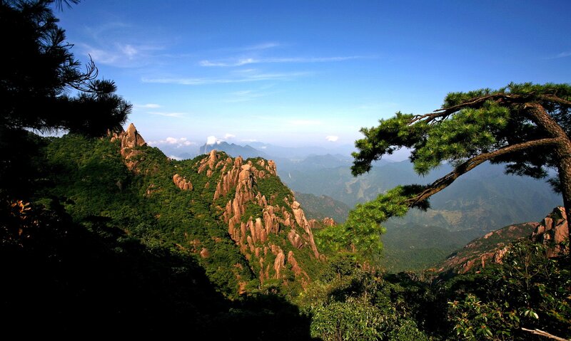 Mountain Landscape with Pine Trees — Green, Serene, Afternoon, Photograph, Pine Tree
