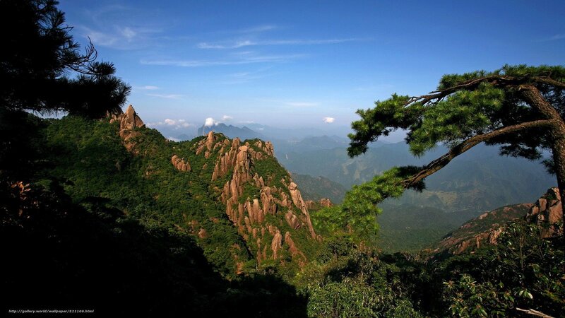 Mountain Landscape with Pine Trees — Green, Serene, Afternoon