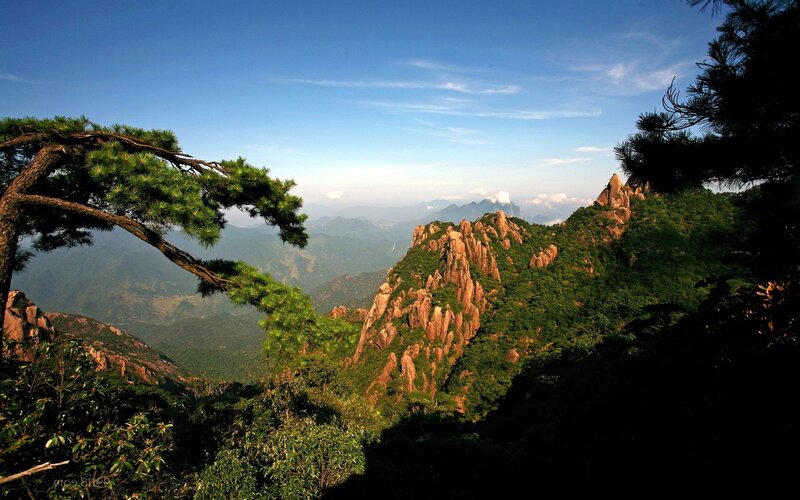 Mountain Landscape with Pine Trees — Green, Serene, Morning