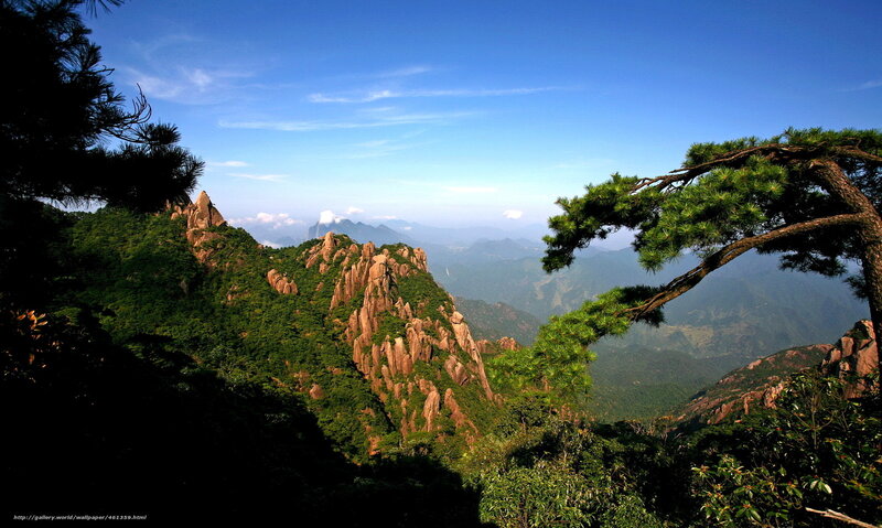 Mountain Landscape with Pine Trees — Green, Serene