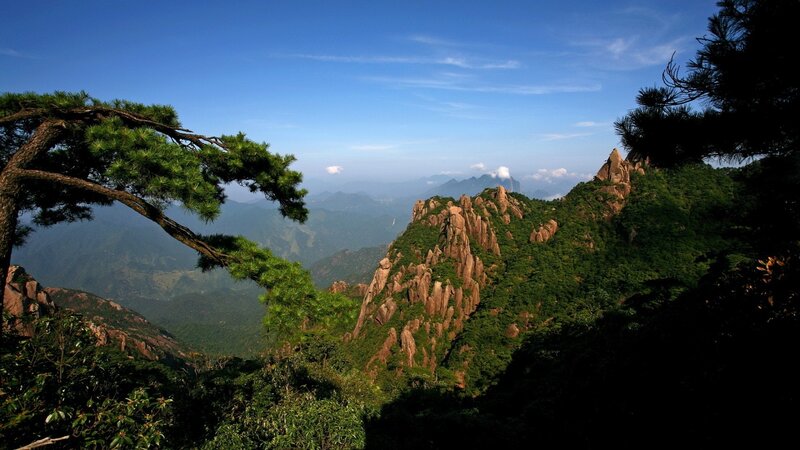 Mountain Landscape with Pine Trees — Green