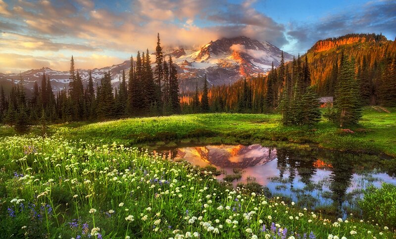 Mountain Landscape with Pond — Green, Serene