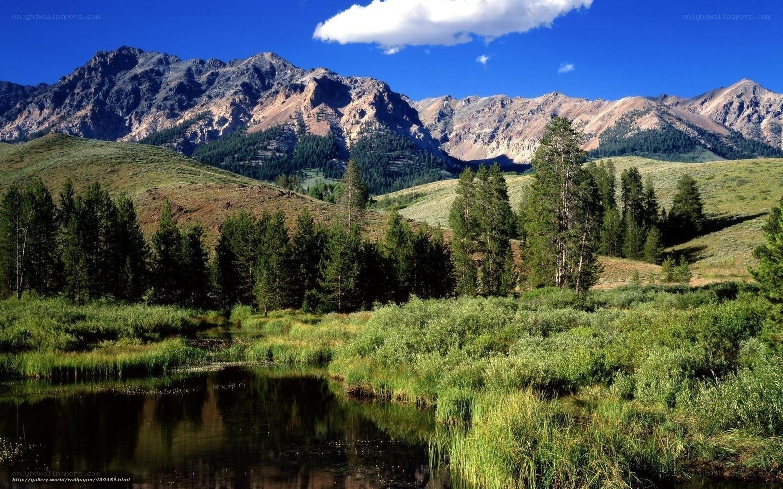 Mountain landscape with pond