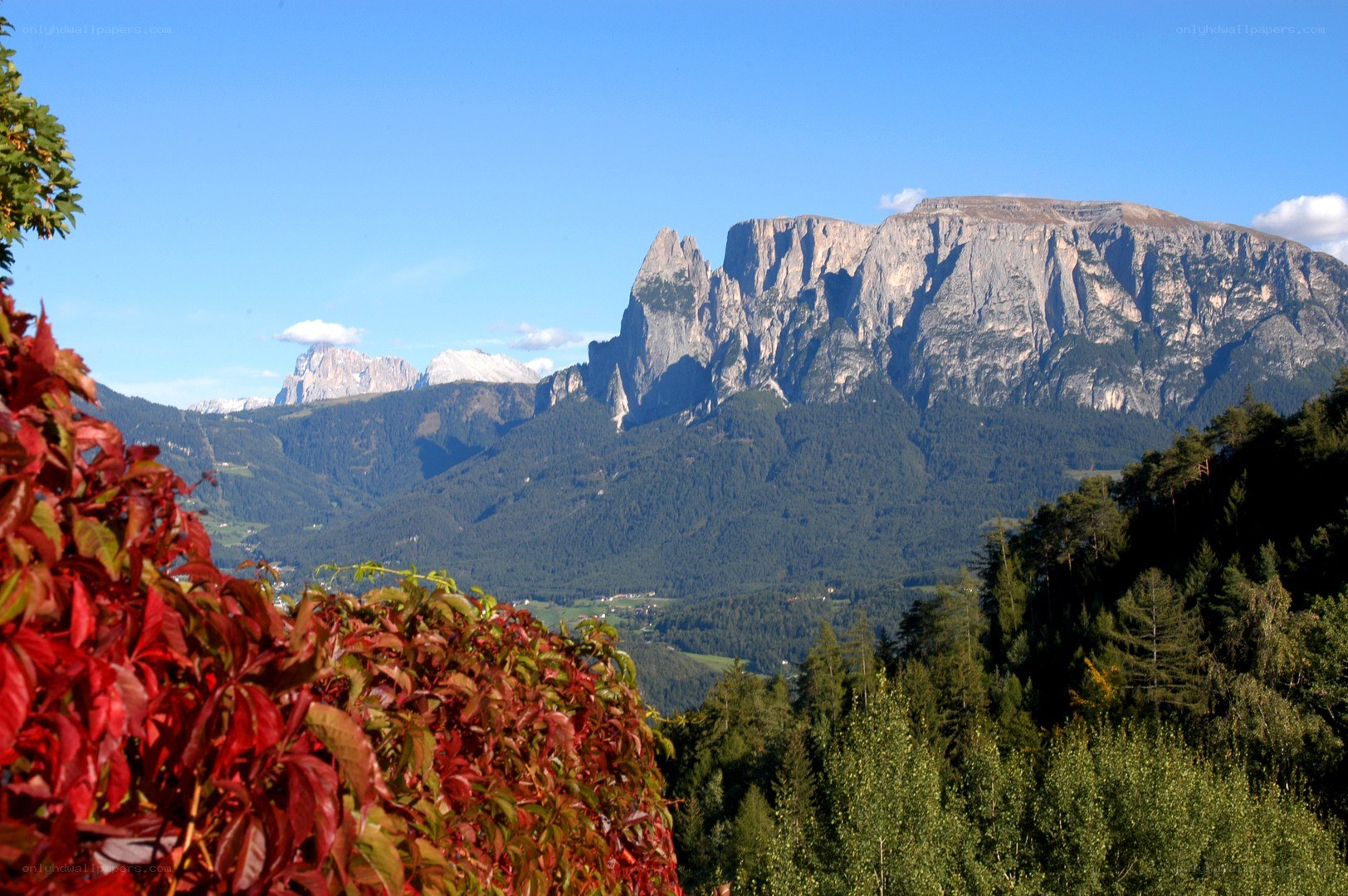 mountain landscape with red foliage