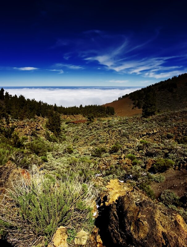 Mountain landscape with sea of clouds