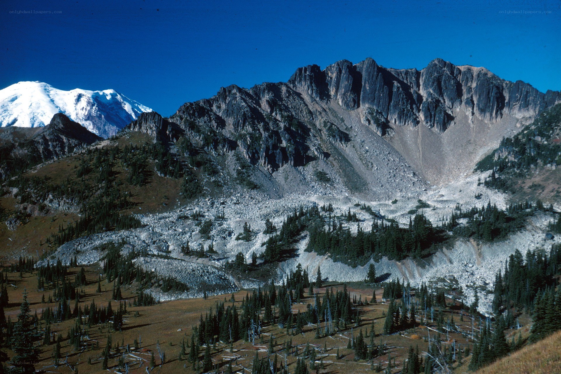 mountain landscape with snow-capped peak