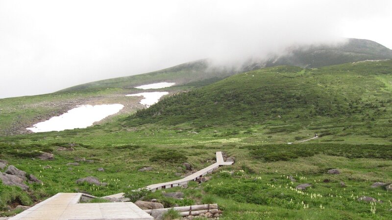 Mountain Landscape with Snow — Green