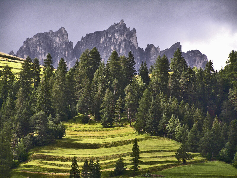 Mountain landscape with terraced fields