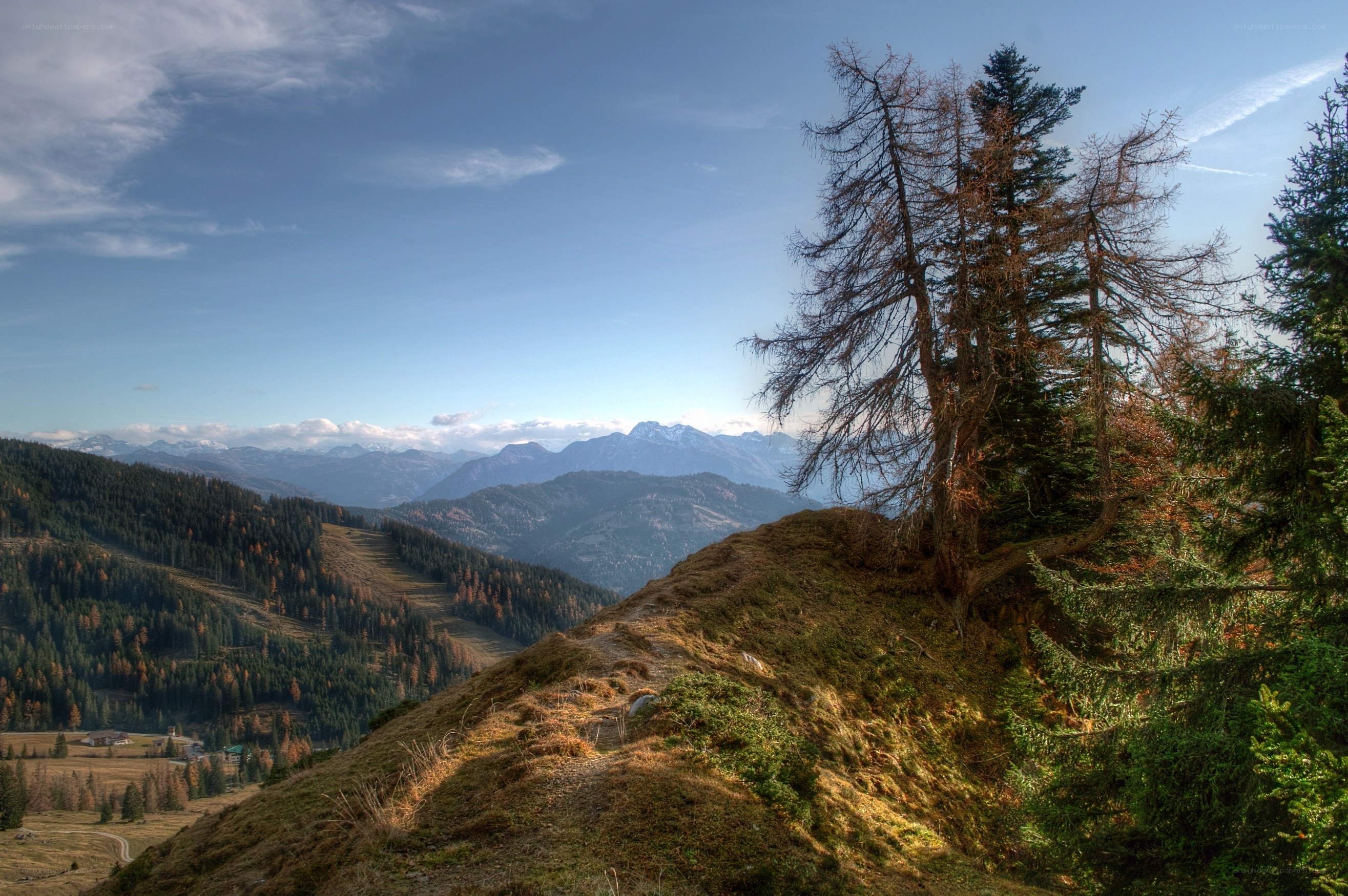 Mountain landscape with trees