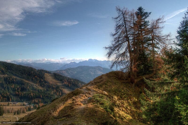 Mountain landscape with trees