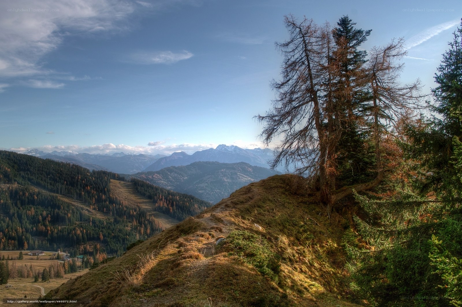 Mountain landscape with trees