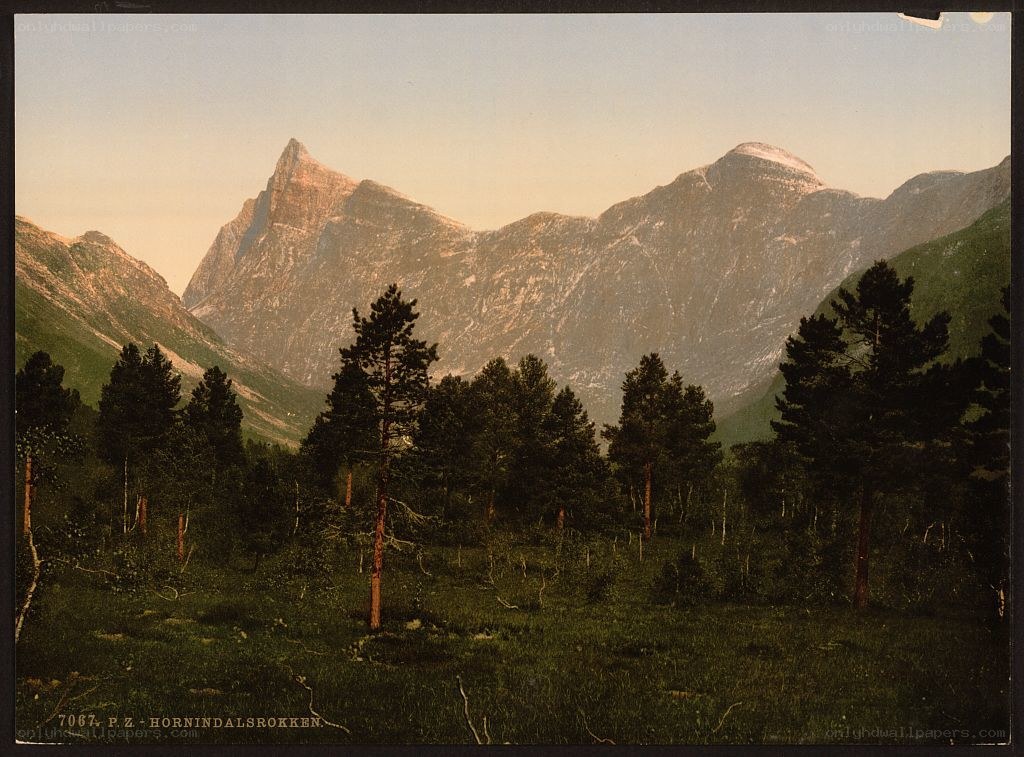 Mountain landscape with trees