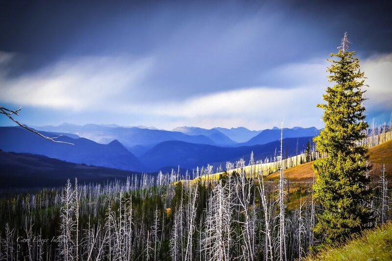 Mountain Landscape with Trees — Blue, Dramatic