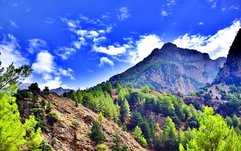 Mountain Landscape with Trees — Blue, Serene, Afternoon, Photograph, Mountains, Sky