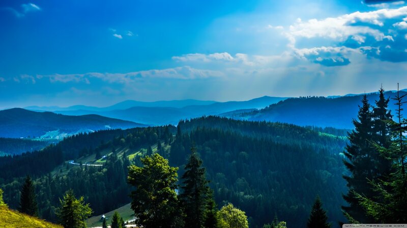Mountain Landscape with Trees — Blue, Serene, Afternoon, Photograph