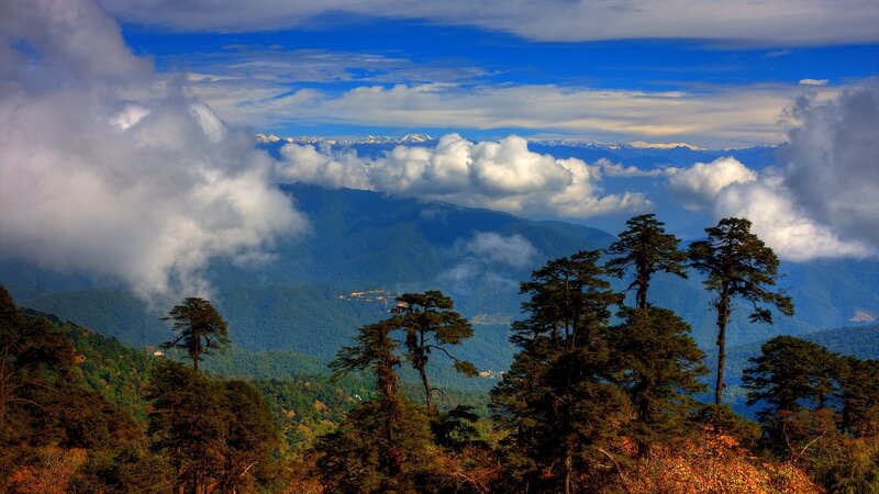 Mountain Landscape with Trees — Blue, Serene, Afternoon