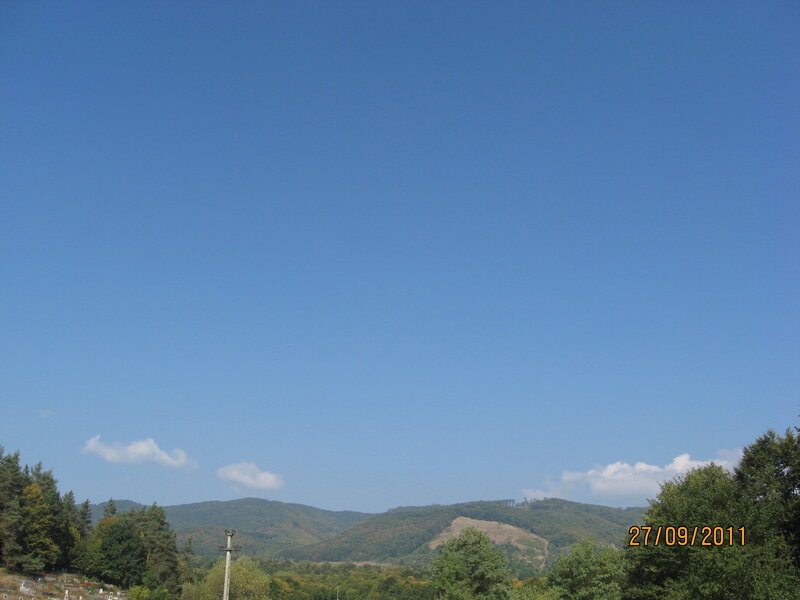 Mountain Landscape with Trees — Blue, Serene