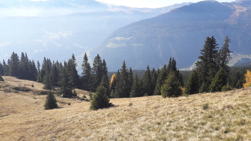 Mountain Landscape with Trees — Brown, Serene