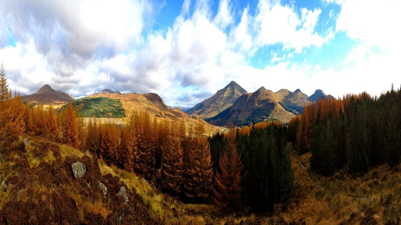 Mountain Landscape with Trees — Brown