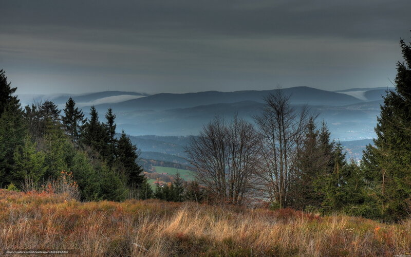 Mountain Landscape with Trees — Green, Dramatic, Autumn