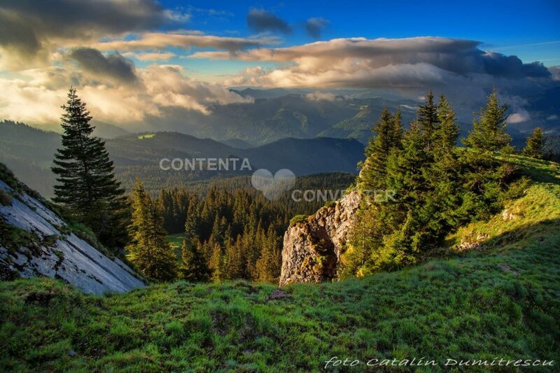 Mountain Landscape with Trees — Green, Dramatic, Sunrise