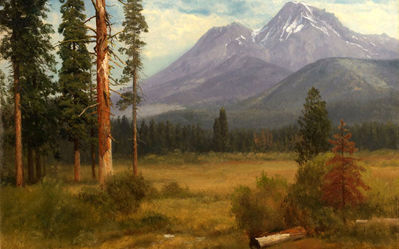 Mountain Landscape with Trees — Green, Serene, Afternoon