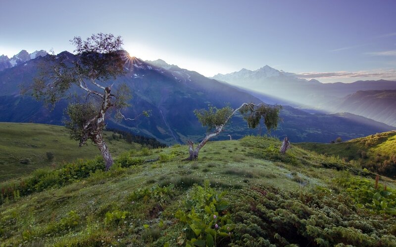 Mountain Landscape with Trees — Green, Serene, Sunrise