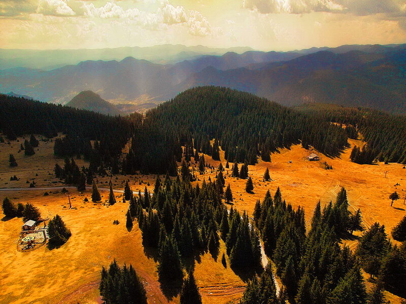 Mountain Landscape with Trees — Green, Serene