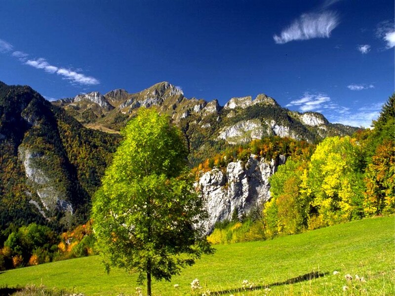 Mountain Landscape with Trees — Green