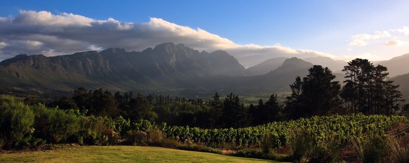 Mountain landscape with vineyard