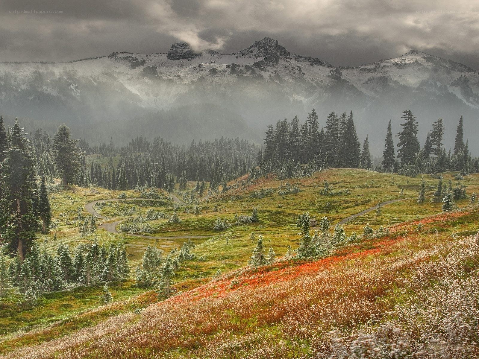 Mountain landscape with wildflowers