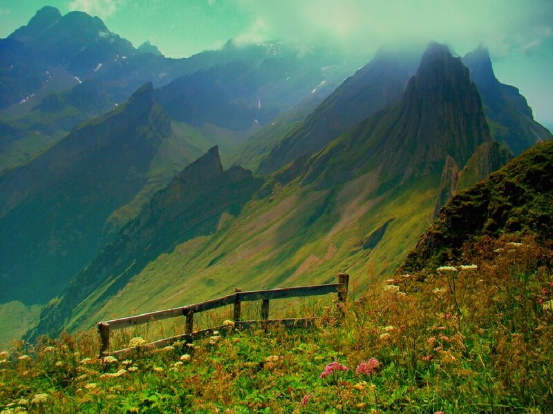 Mountain landscape with wildflowers