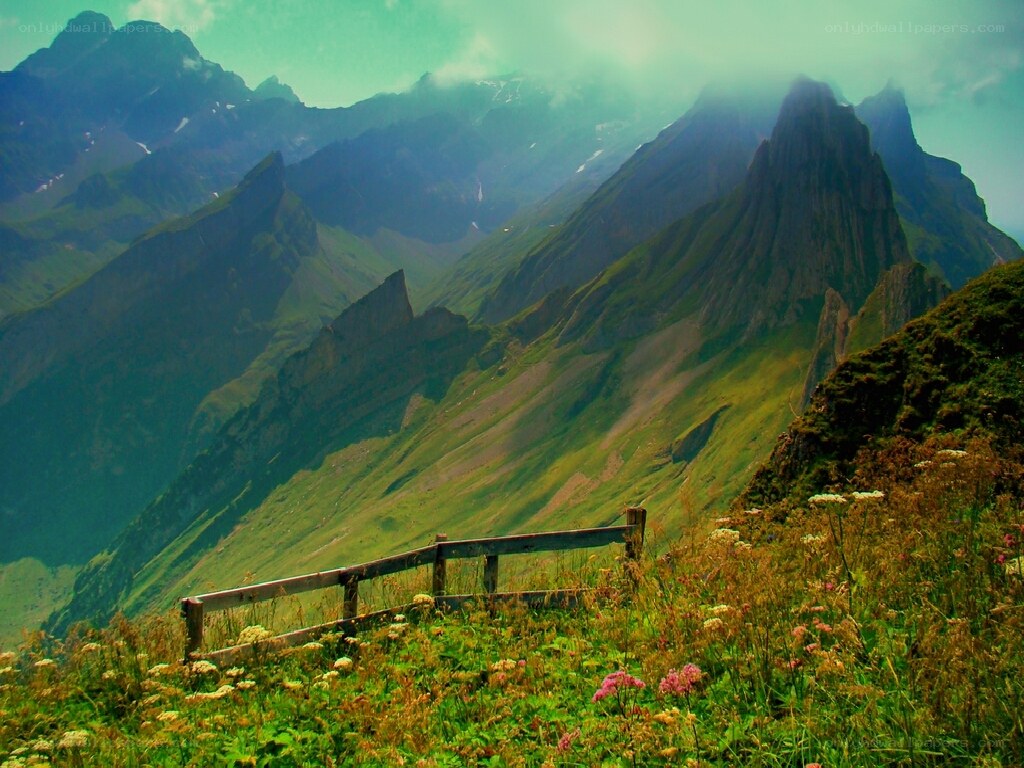 Mountain landscape with wildflowers