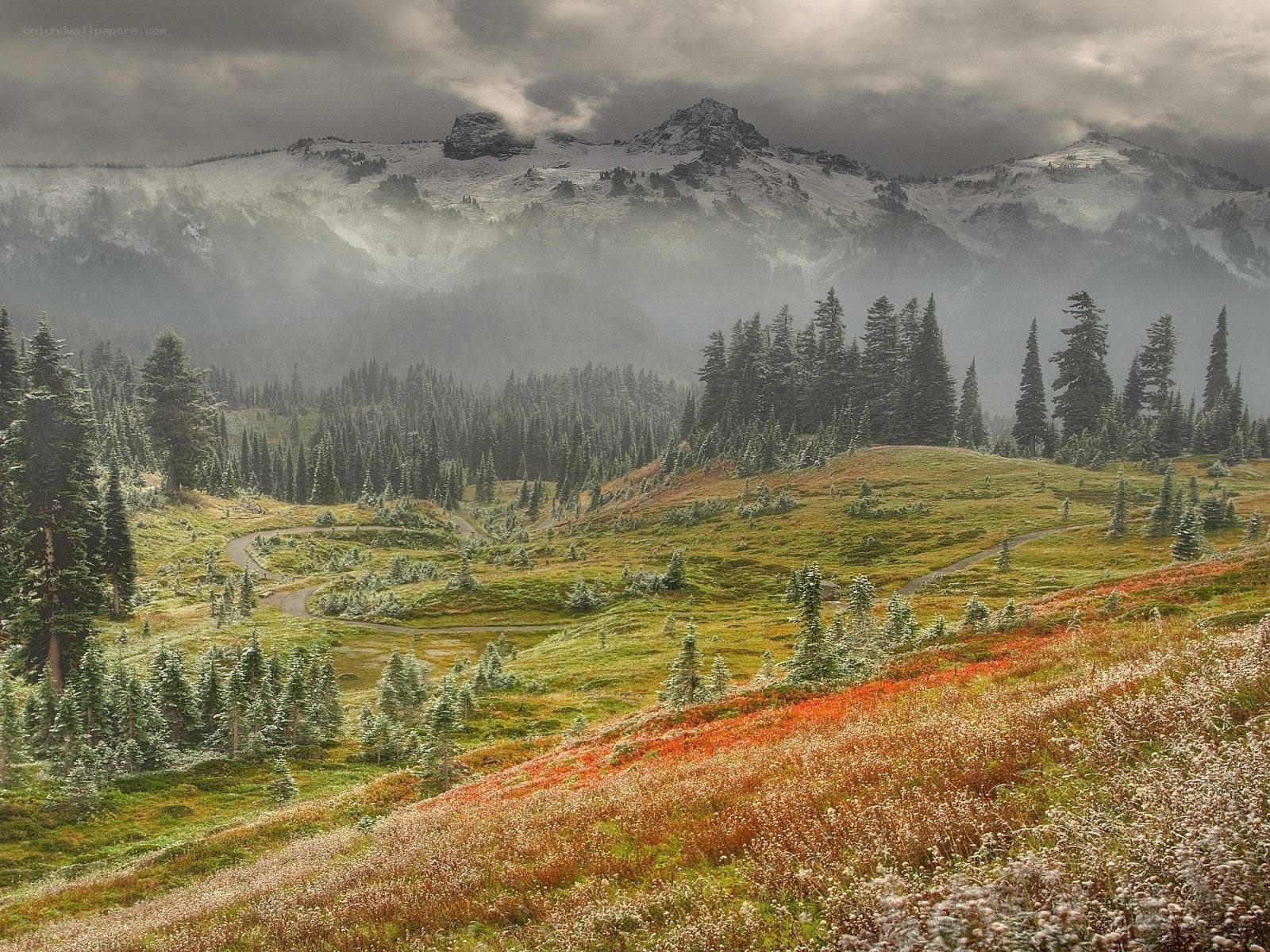 Mountain landscape with wildflowers