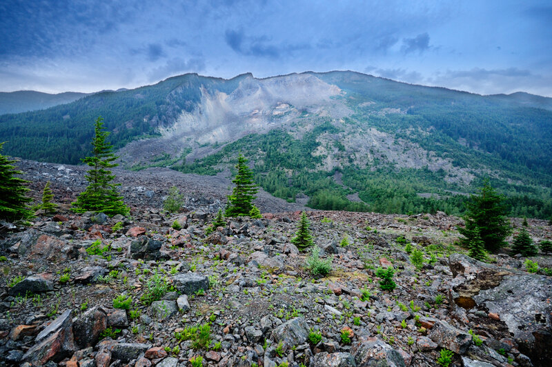 Mountain Landslide Debris