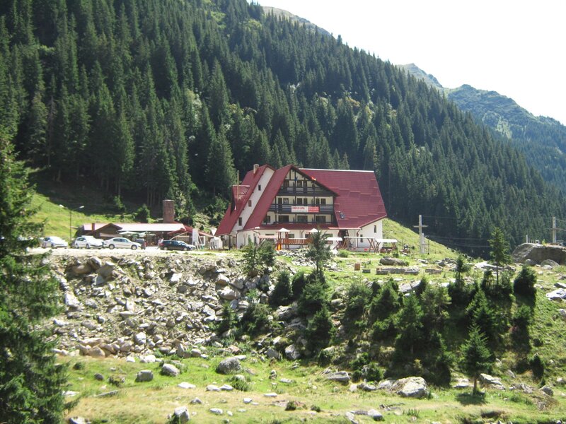 Mountain Lodge in Forest — Green