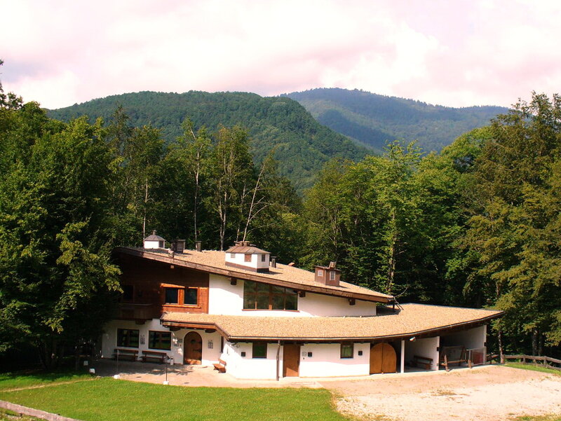 Mountain Lodge in Forest