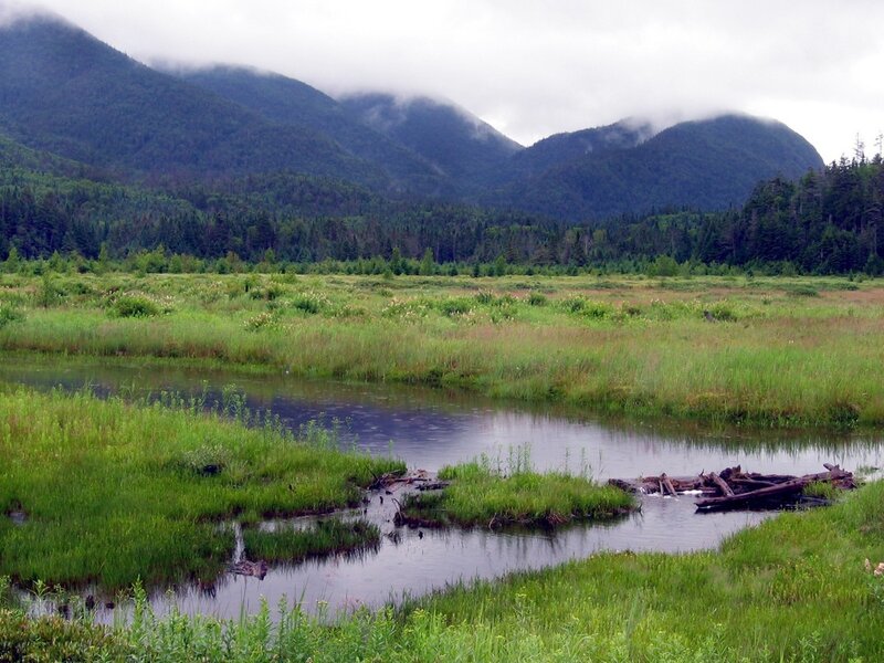mountain marsh landscape