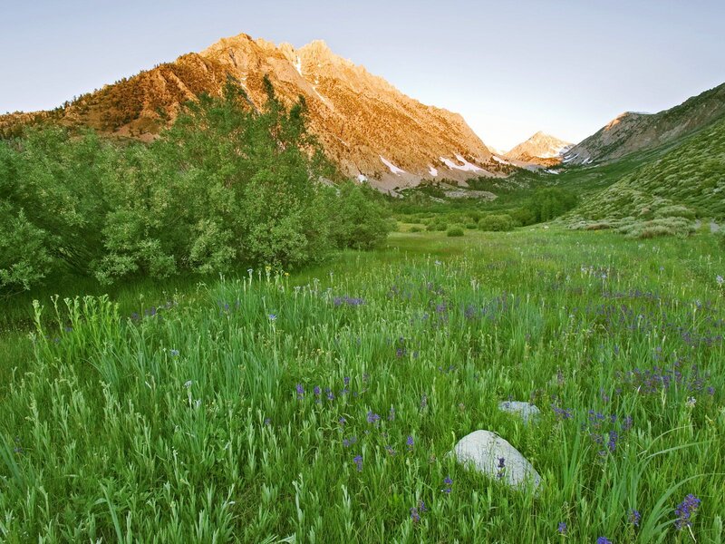 Mountain meadow at sunrise
