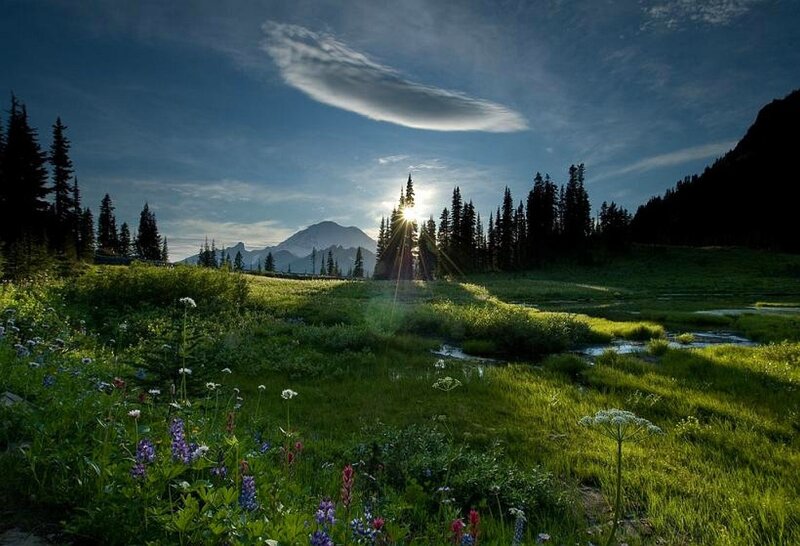 Mountain Meadow at Sunrise — Green